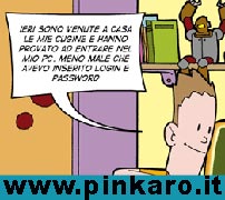 sezione web